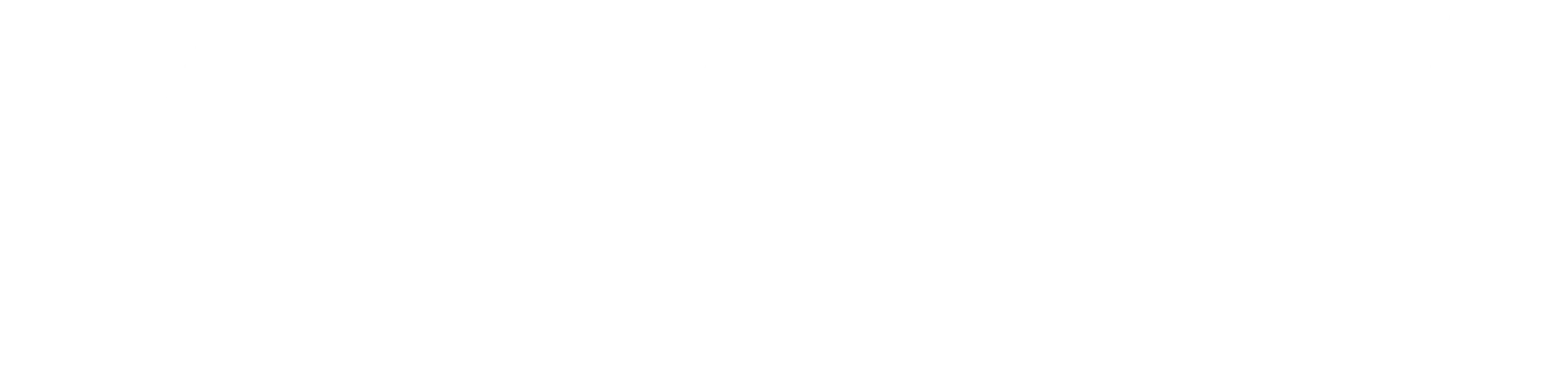 Arista Consulting Group